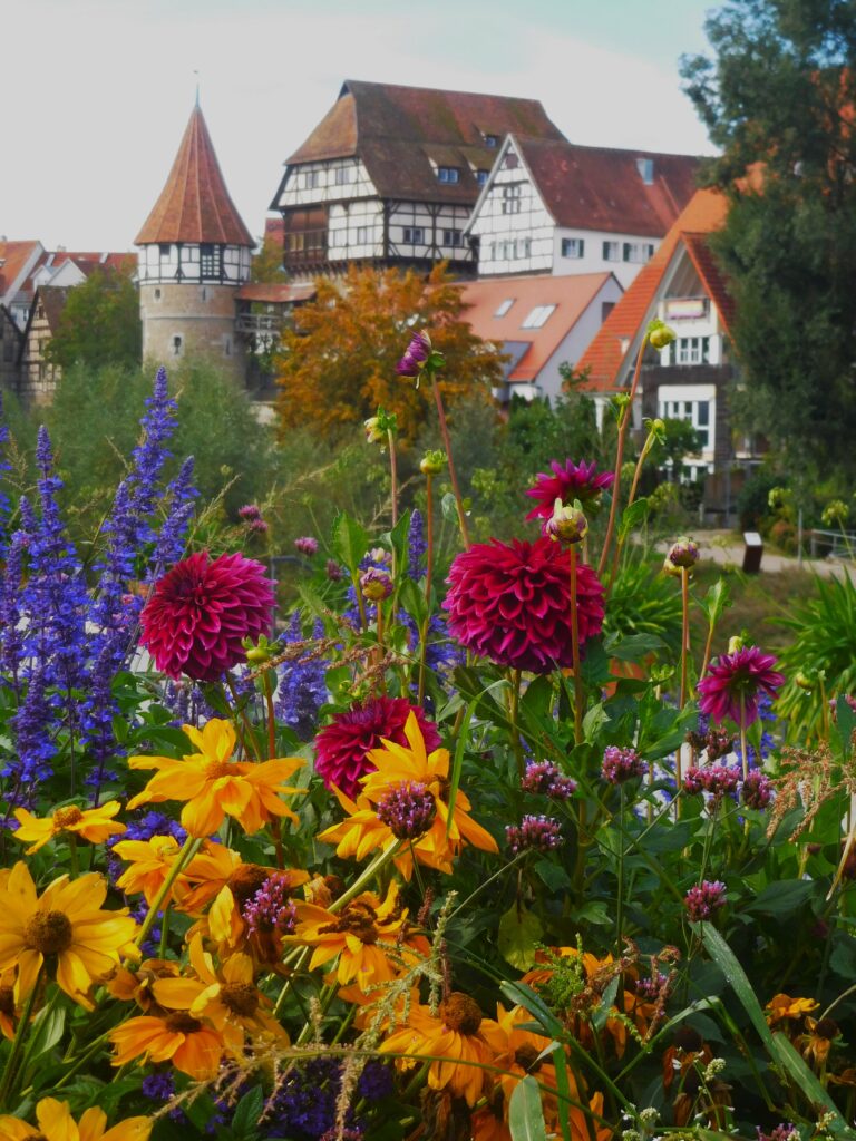 Gartenschau Balingen 2023