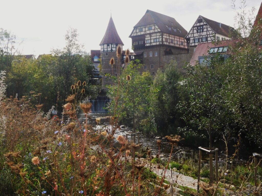 Gartenschau Balingen 2023